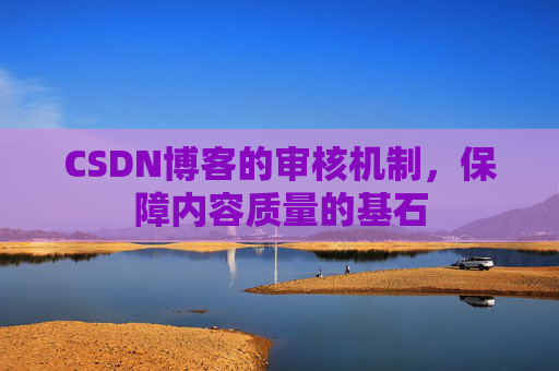 CSDN博客的审核机制,保障内容质量的基石